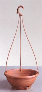 GANCIO TULIPANO P/CIOTOLA SERENELLA 50HCM- 1,0 pz