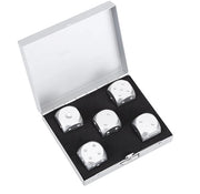 Set di Dadi da Poker in Alluminio - 5 pezzi - Compacto e Leggero - Ideale per Serate di Gioco - Tavola da Gioco - Piatto da Poker