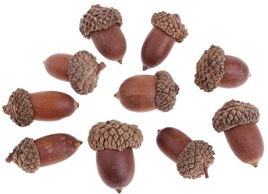 Decorazione naturale di betulla - Ornamenti secchi - Ambientali - Leggeri - Per artigianato - Riciclabili