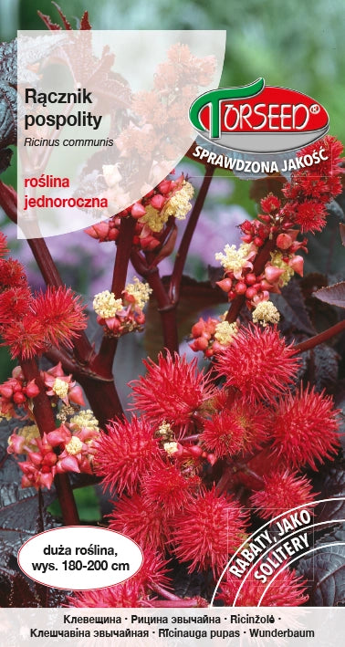 Castore - Ricinus communis foglia rossa 6g