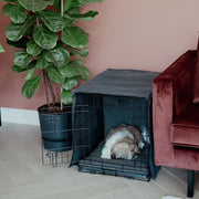 DISTRICT70 Copertura Gabbia per Cani Grigio Scuro S 444045