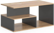 Tavolino da salotto Hasso, Quercia dorata/antracite, 90 x 49.4 cm, con ripiano per riporre riviste e telecomandi