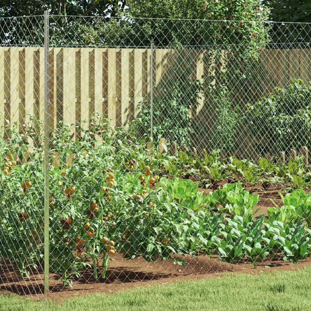 Recinzione a rete metallica Galvanizzato 2 x 10 m Vetro