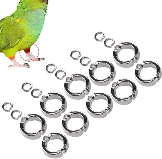 Accessori di allenamento per pappagalli, anello per zampa, anello per gamba, anello per zampa per uccelli, per pappagalli, 15°