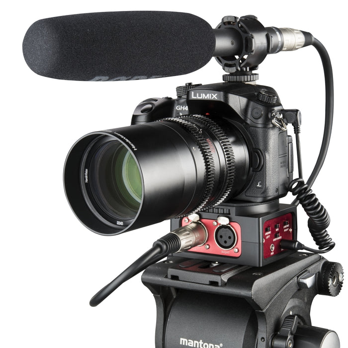 adattatore audio 101