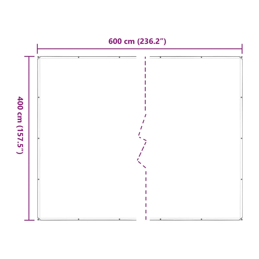 Copertura per Piante Trasparente 4 x 6 m PE CFW6528959