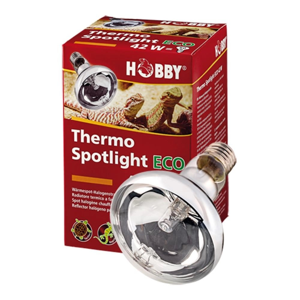 HOBBY Thermo Basking Spotlight – radiatore termico a faretto Attacco E27 Wattaggio Riscaldatori e lampade terrario: 100W