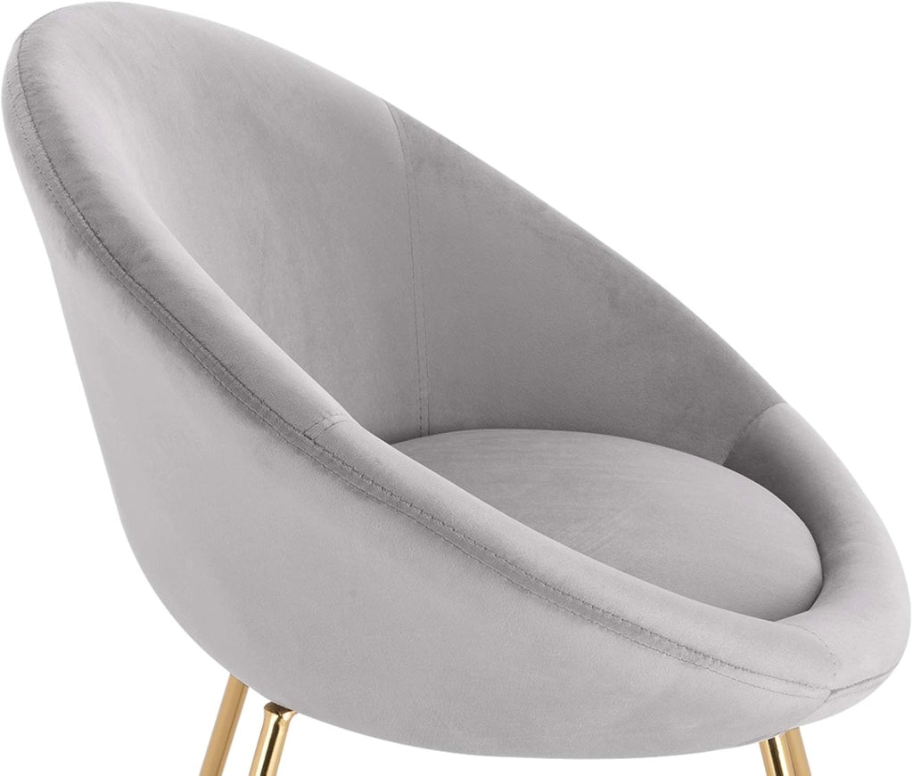 1x Sedie sala da pranzo Sedie cucina moderne poltrona, Adatte per Sala pranzo Soggiorno, Camera da Letto, Schienale, Tessuto di velluto, Oro Metallo, Grigio Chiaro BH217hgr-1