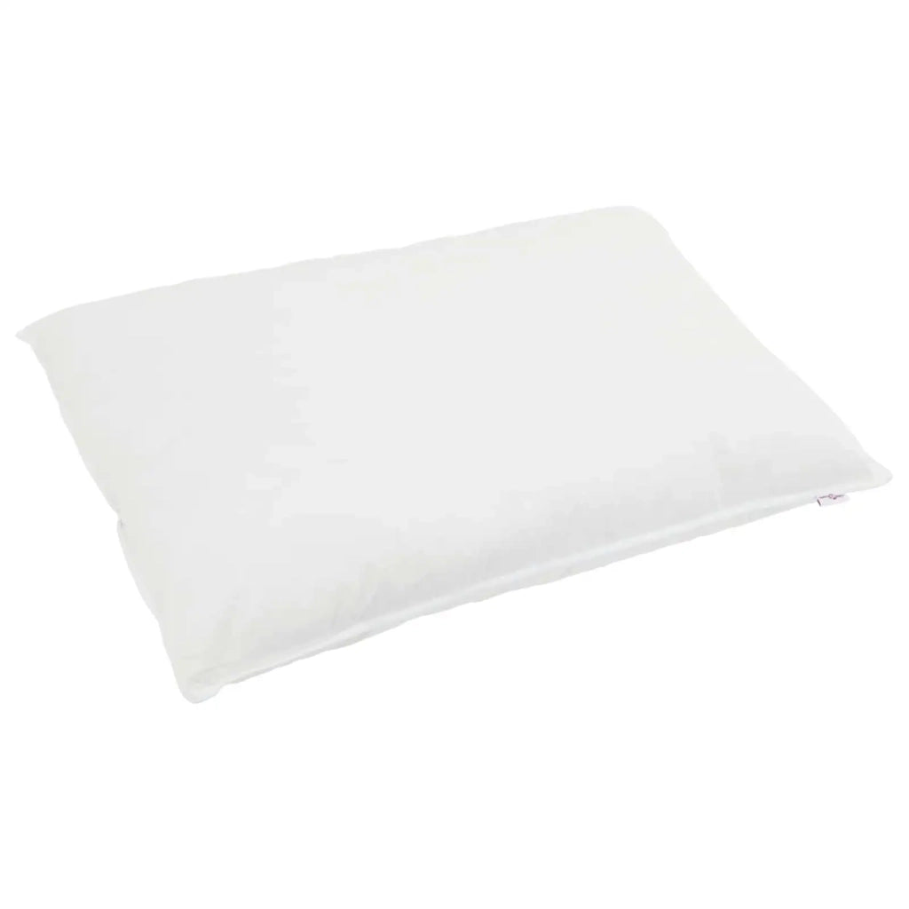 Piumone | Duvet Invernale con cuscino 2 pz Bianco Piuma d'anatra