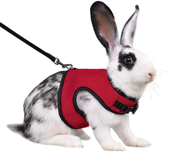 Attrezzo per conigli e cintura, giubbotto per conigli, cintura per hamster, rete anti-fuga per allenamento a passeggio, adatto per piccoli animali domestici come topi, scoiattoli, toporagni, cavi e conigli, rosso, taglia L.