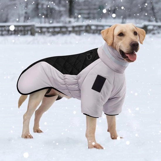 Giubbotto impermeabile per cani, giacca calda per il freddo invernale, giacca impermeabile e riflettente con cappuccio alto e chiusura a zip impermeabile e resistente, per cani di taglia media-grande (5XL)