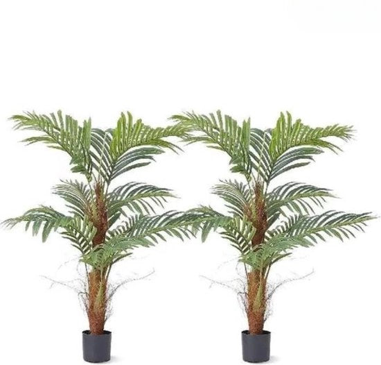 Pianta da Giardino senza Manutenzione - 120cm Altezza - Per Esterno e Interno