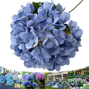 Fiori di Iperico Artificiali Esterni, Fiori di Iperico Artificiali Resistente ai Raggi UV, Finto Fiori per Matrimoni, Feste e Decorazioni di Casa (Blu Scuro, 10 pezzi)
