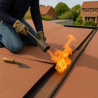 Guaina ardesiata rossa casasciutta impermeabilizzazione terrazze 8 rotoli 1x10 m