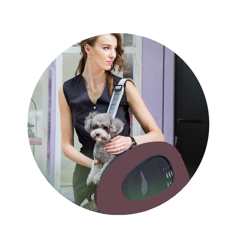 Trolley per cani e gatti 3 in 1 zaino & borsa max 8 kg pet rolling colore marrone