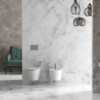 Coppia Di Sanitari Alice Ceramica Sospeso Senza Brida Bianco Lucido "Form"