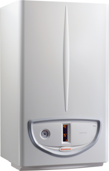 Caldaia Immergas Camera Aperta NIKE ECO 24 Metano low NOx 3.028476 - NOVITA'