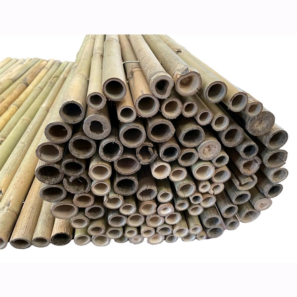 Arella in Canna di Bamboo Naturale River 1,5x3 metri per Recinzioni e Coperture in Rotoli