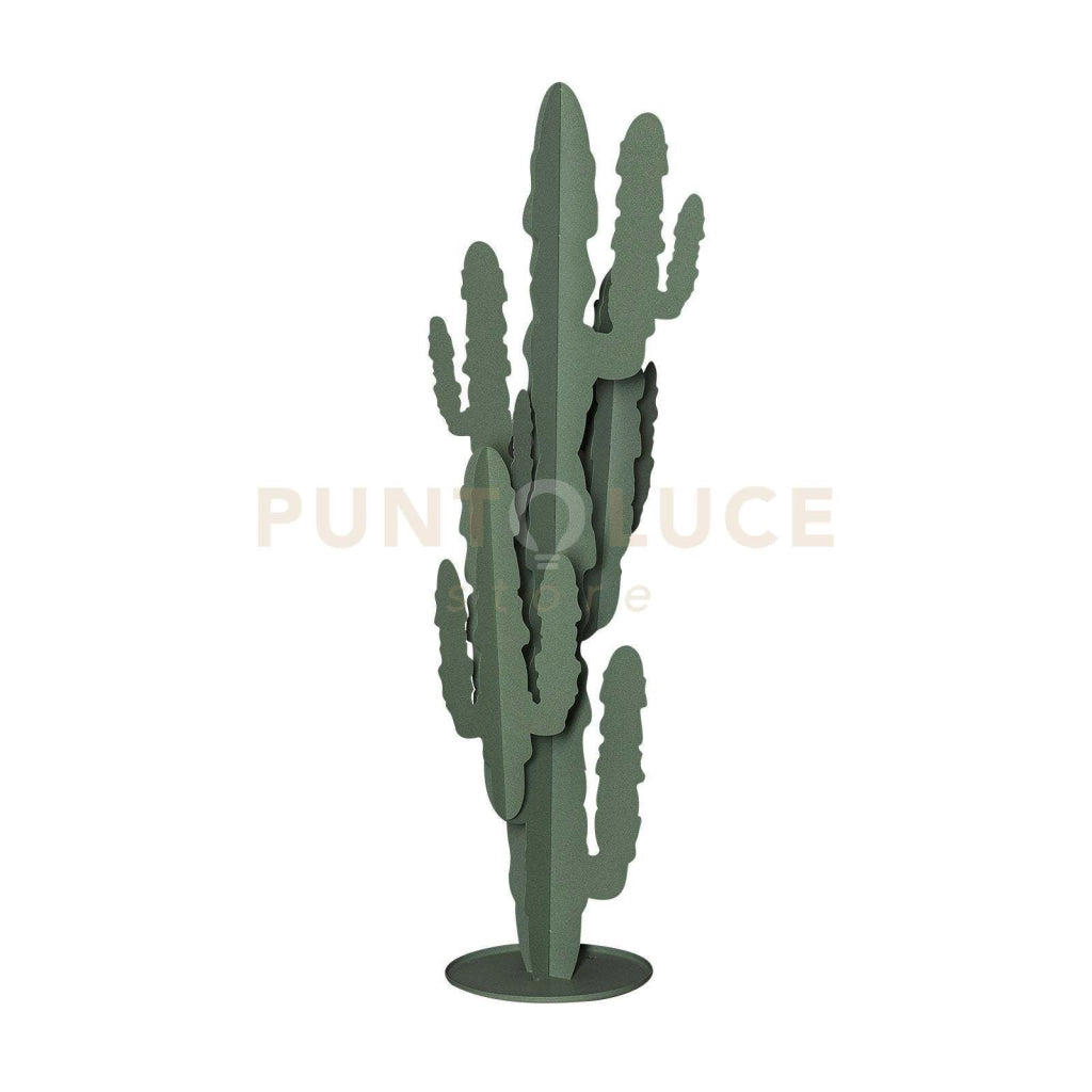 Pianta decorativa moderna Cactus grande Verde Salvia