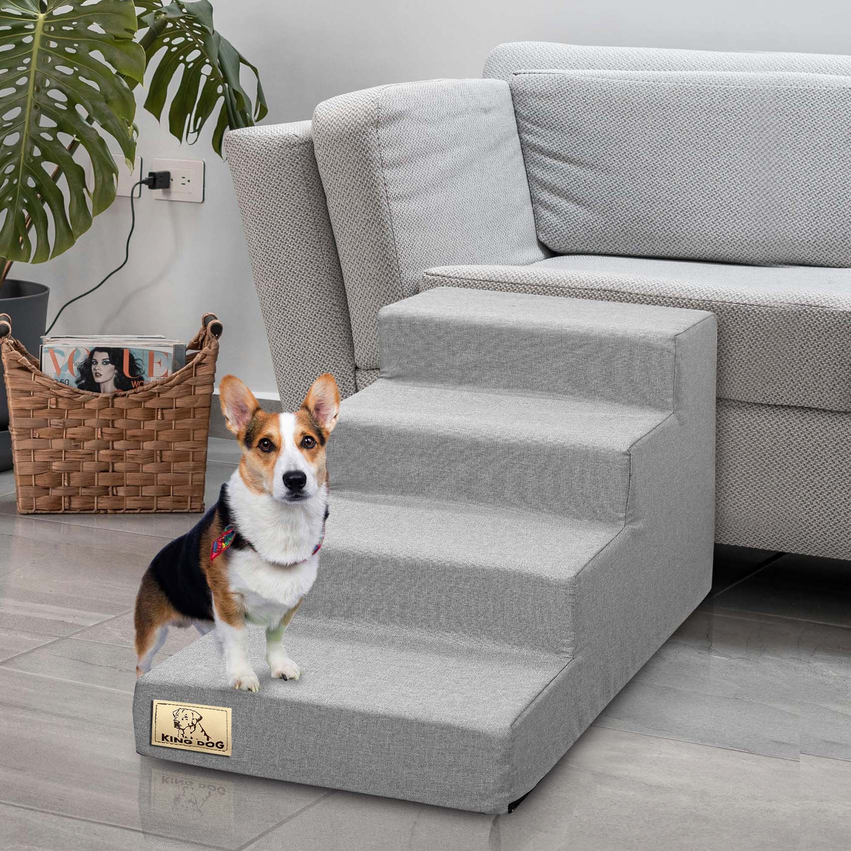 AIO FACTORY Scala per cani 60x40x30 cm, impermeabile, grigia, antiscivolo