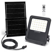 FARO SOLARE 300W LED CON PANNELLO FARETTO CREPUSCOLARE TELECOMANDO IP66