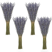 Bouquet di Lavanda secca 100 steli - Fiore secco - Lavanda francese - Decorazione - Seta azzurra - Altezza 42 cm