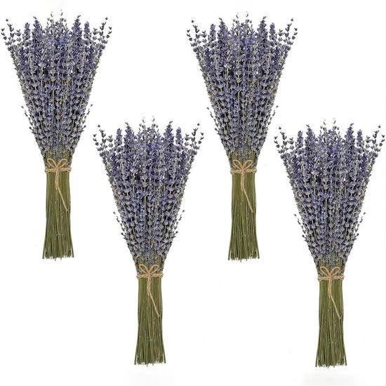 Bouquet di Lavanda secca 100 steli - Fiore secco - Lavanda francese - Decorazione - Seta azzurra - Altezza 42 cm