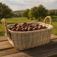 Cesta cestino portapane in vimini avorio con manici in juta cm 45 x 31 x h 19,5