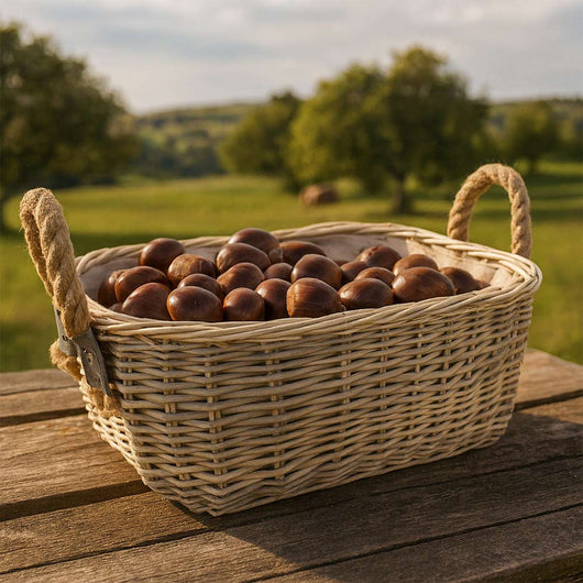 Cesta cestino portapane in vimini avorio con manici in juta cm 45 x 31 x h 19,5