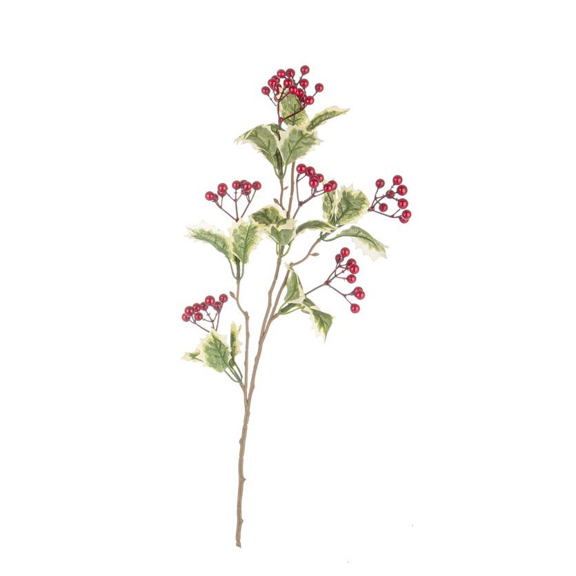 AGRIFOGLIO CON BACCHE ROSSE BIZZOTTO YARD H54