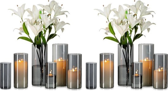Set di Vasi Cilindrici in Vetro da 12 pezzi, antracite, per decorazione di tavolo da salotto, con vasi grandi per fiori di tulipano e rosa.