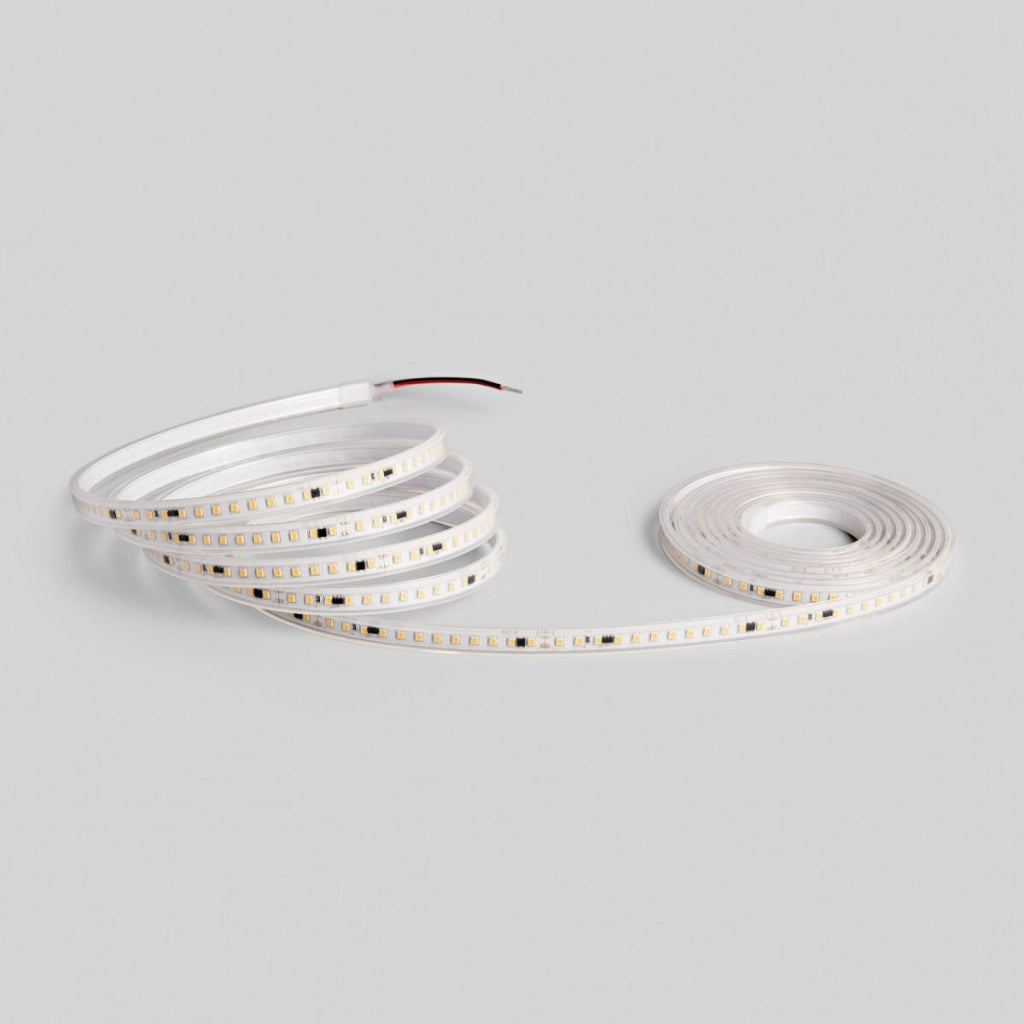 Striscia LED SMD 220V 20 Metri 15W/m 1800LM/m 6500K IP65 INTEC STRIP220V-2835-15F