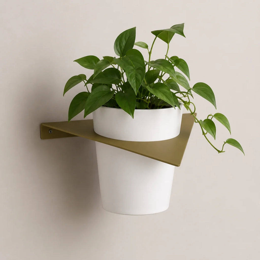 Tecnokit porta vasi da muro in metallo con vaso