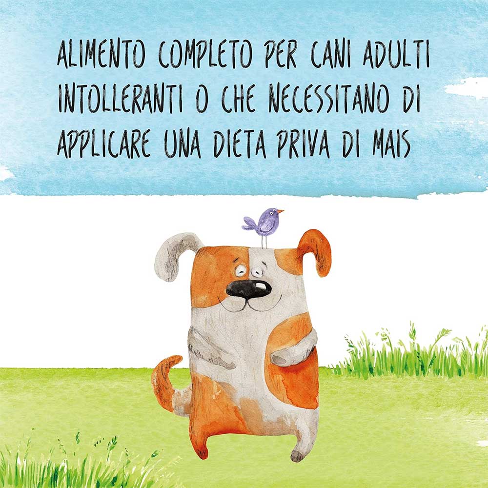 ALDOG PORK Crocchette Medio/Grandi 12kg