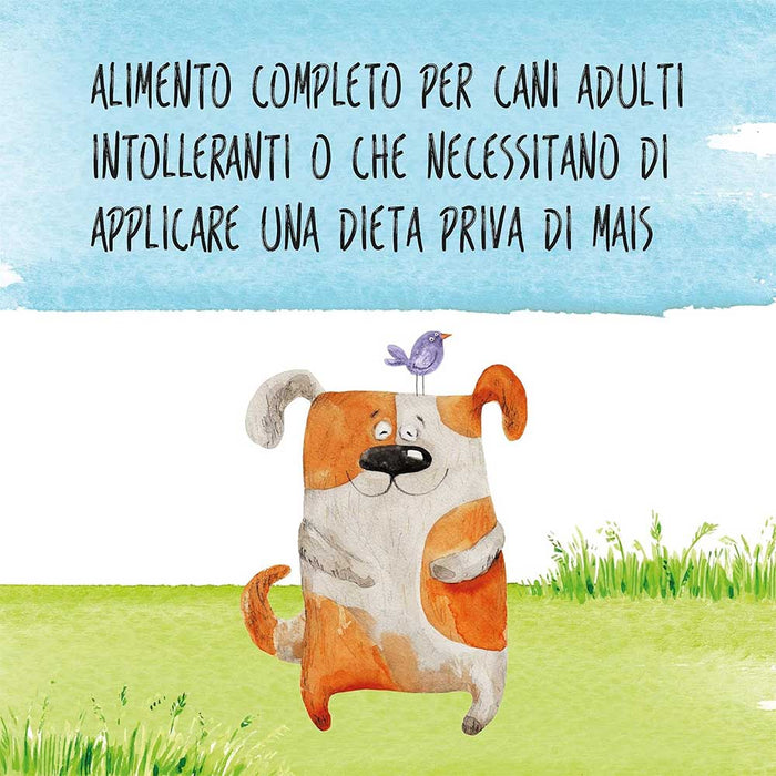 ALDOG PORK Crocchette Medio/Grandi 12kg