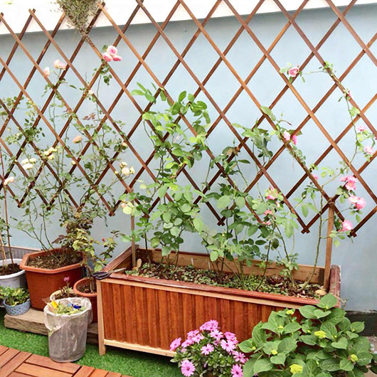 Traliccio grigliato in legno per giardino estensibile fino a 2mt x 32cm