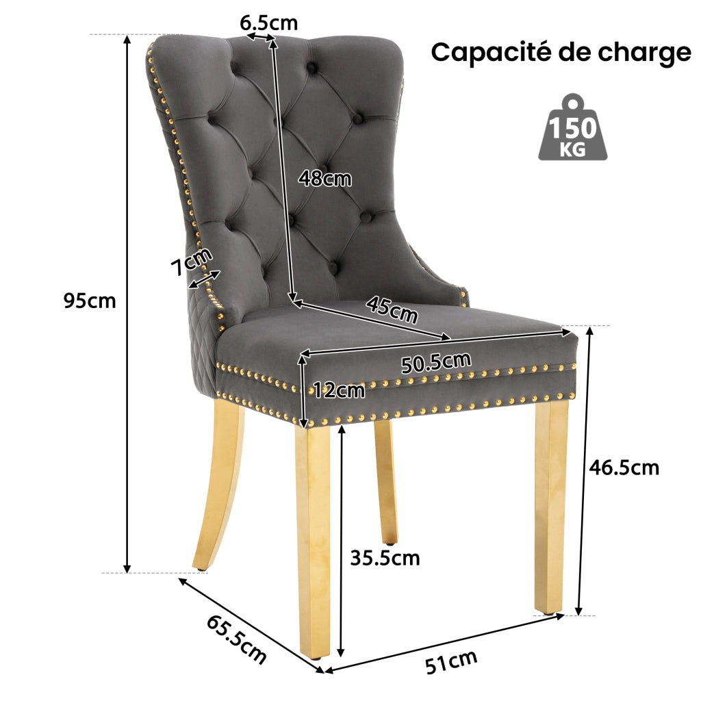 OKWISH Lot de 2 Sedie da Pranzo, con Anello Rotondo sullo Schienale, Borchie Decorative e Piedini Regolabili, Velluto Grigio