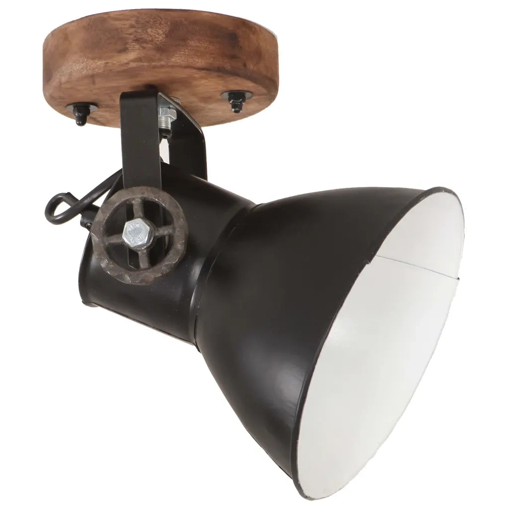 Lampade da Parete/Soffitto 2 pz Industriale Nere 20x25 cm E27 CFW6227910