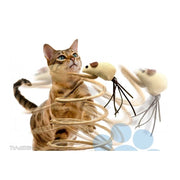 Trade Shop - Gioco Con Pupazzo Topo Palestra Per Gatto Unghie Tiragraffi Base Molla -
