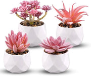 Set di 4 Mini Piantine Succulente con Vaso - Piantine Decorative - Piccole Piantine in Plastica per Decorazione della Sala e del Bureau