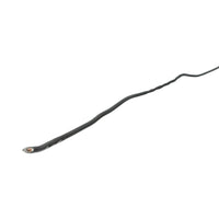 Cavo elettrico in rame 1,5mm nero FY H07V-U, isolamento in PVC 450/750V 100m/rotolo