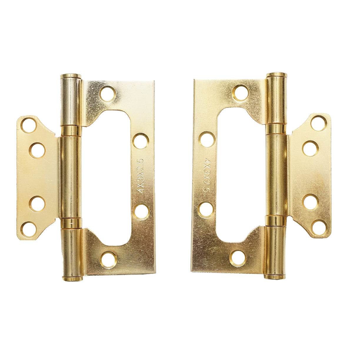 Set di 2 cerniere complanari 100×73 mm zincate con viti