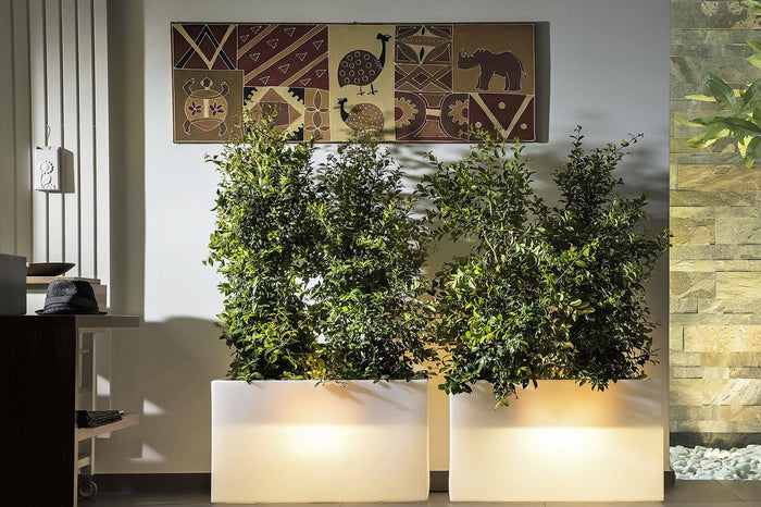 Fioriera Luminiosa RGB con pannello Solare cm 80x35x50 - JIM