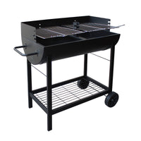 Barbecue a carbonella in Acciaio cm 103 5x48x95 - RAFE