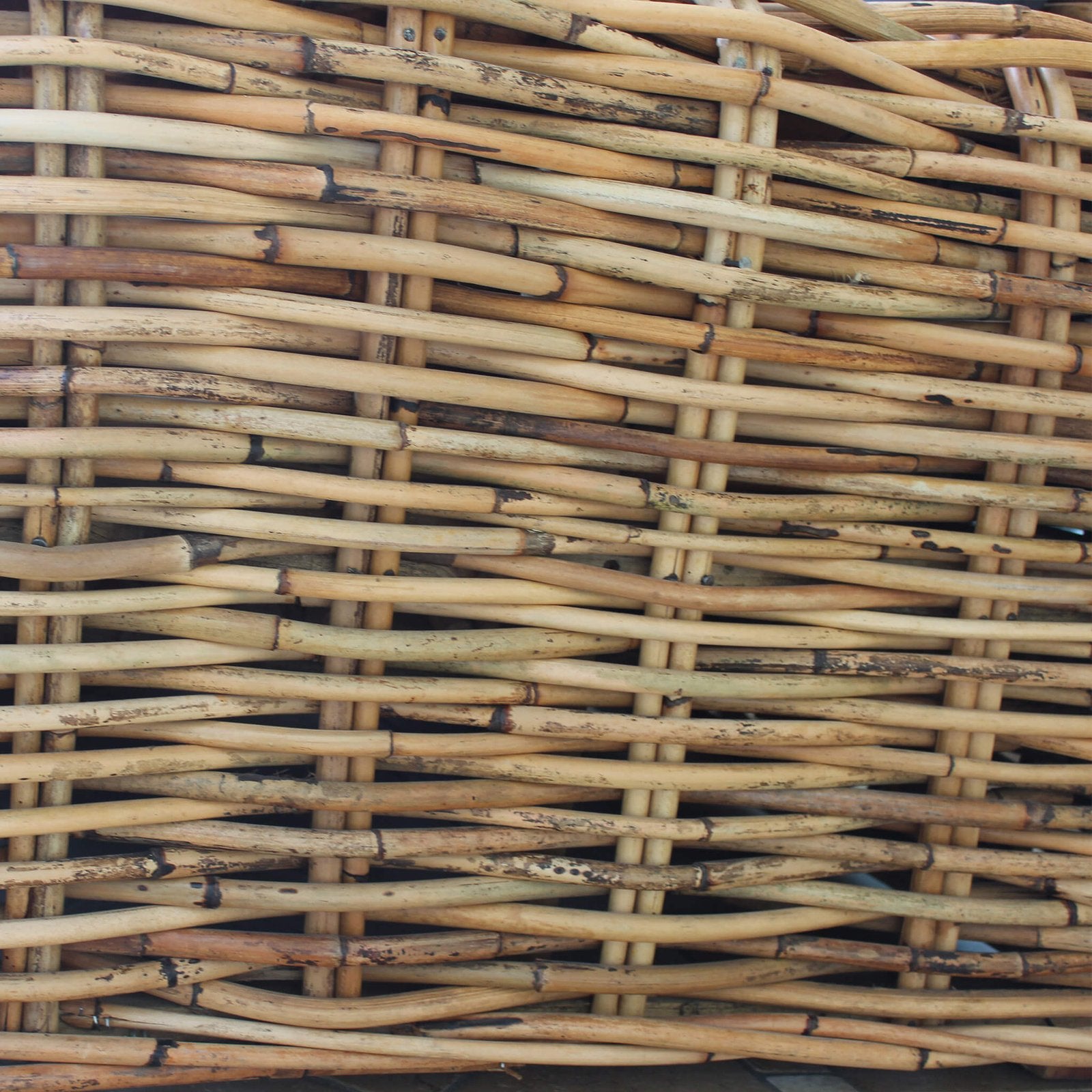 Chaise longue da Giardino con cuscino in Rattan naturale - NATUR