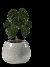 Vaso Erasmo Colore: Aqua, Materiale: Ceramica