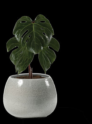 Vaso Erasmo Colore: Aqua, Materiale: Ceramica