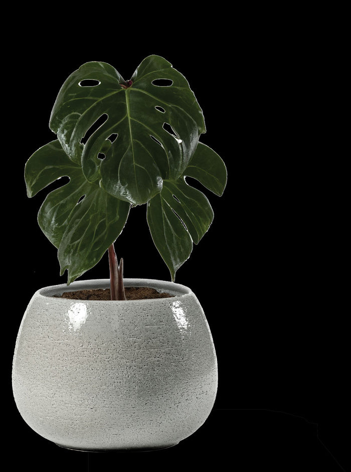 Vaso Erasmo Colore: Aqua, Materiale: Ceramica