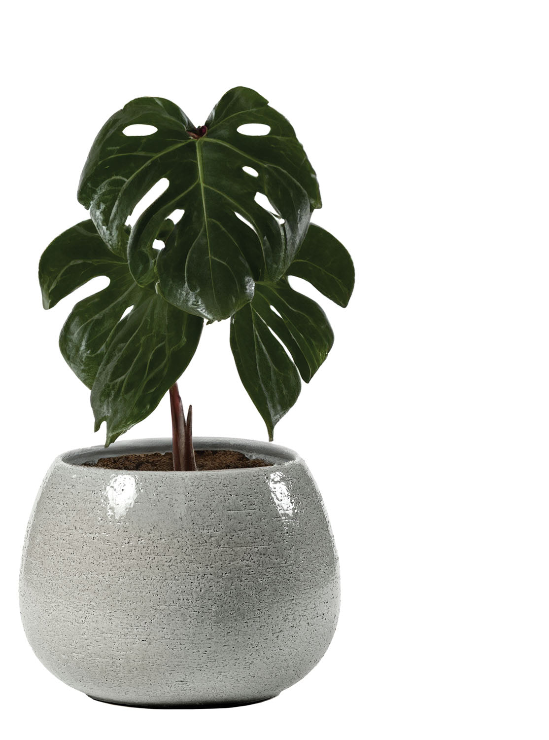 Vaso Erasmo Colore: Aqua, Materiale: Ceramica