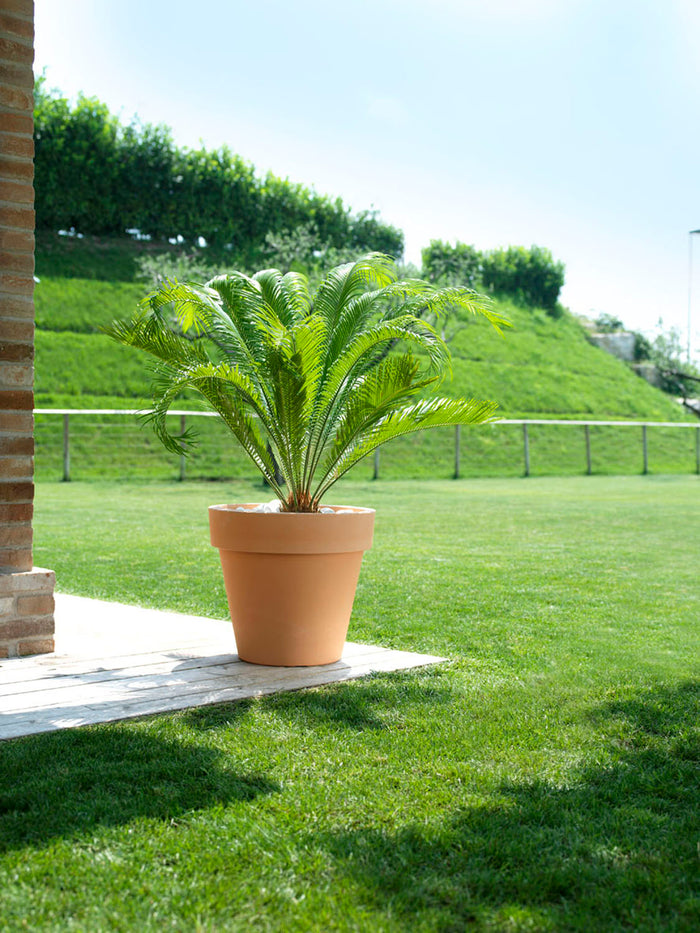 Vaso Standard One 140 Colore: Anticato, Materiale: Polietilene